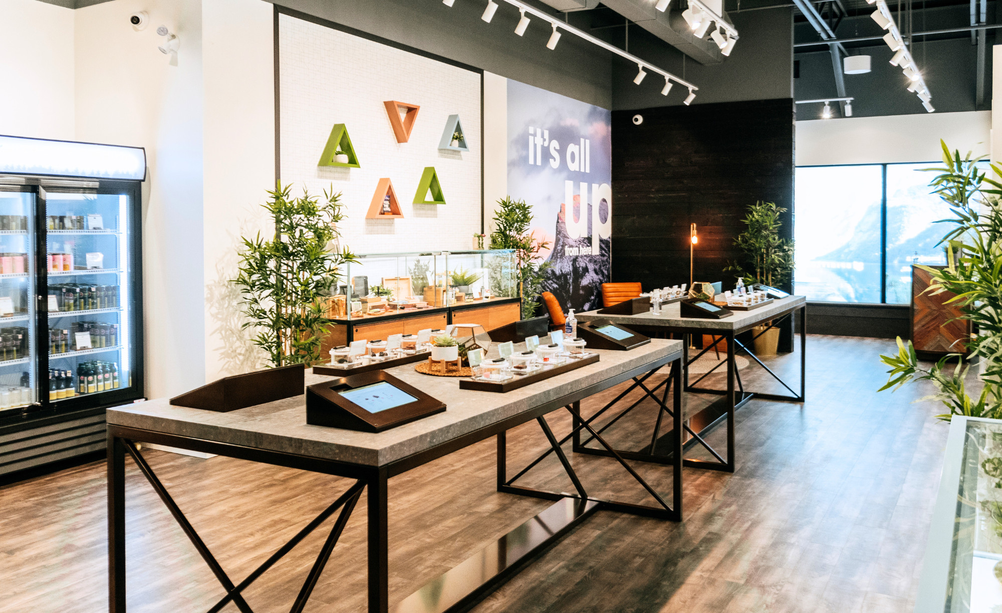 Makaduba Spiritleaf Renovation Project in London